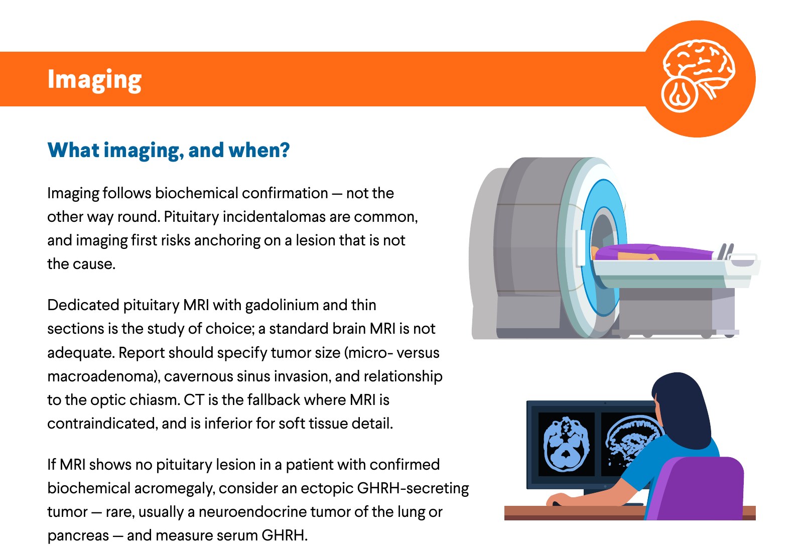 Imaging. What imaging, and when? Imaging follows biochemical confirmation — not the other way round. Pituitary incidentalomas are common, and imaging first risks anchoring on a lesion that is not the cause. Dedicated pituitary MRI with gadolinium and thin sections is the study of choice; a standard brain MRI is not adequate. Report should specify tumor size (micro- versus macroadenoma), cavernous sinus invasion, and relationship to the optic chiasm. CT is the fallback where MRI is contraindicated, and is inferior for soft tissue detail. If MRI shows no pituitary lesion in a patient with confirmed biochemical acromegaly, consider an ectopic GHRH-secreting tumor — rare, usually a neuroendocrine tumor of the lung or pancreas — and measure serum GHRH.
